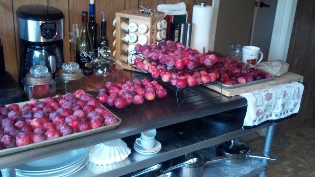 2012-07-07_20-05-21_394