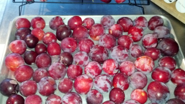 2012-07-07_20-06-09_810