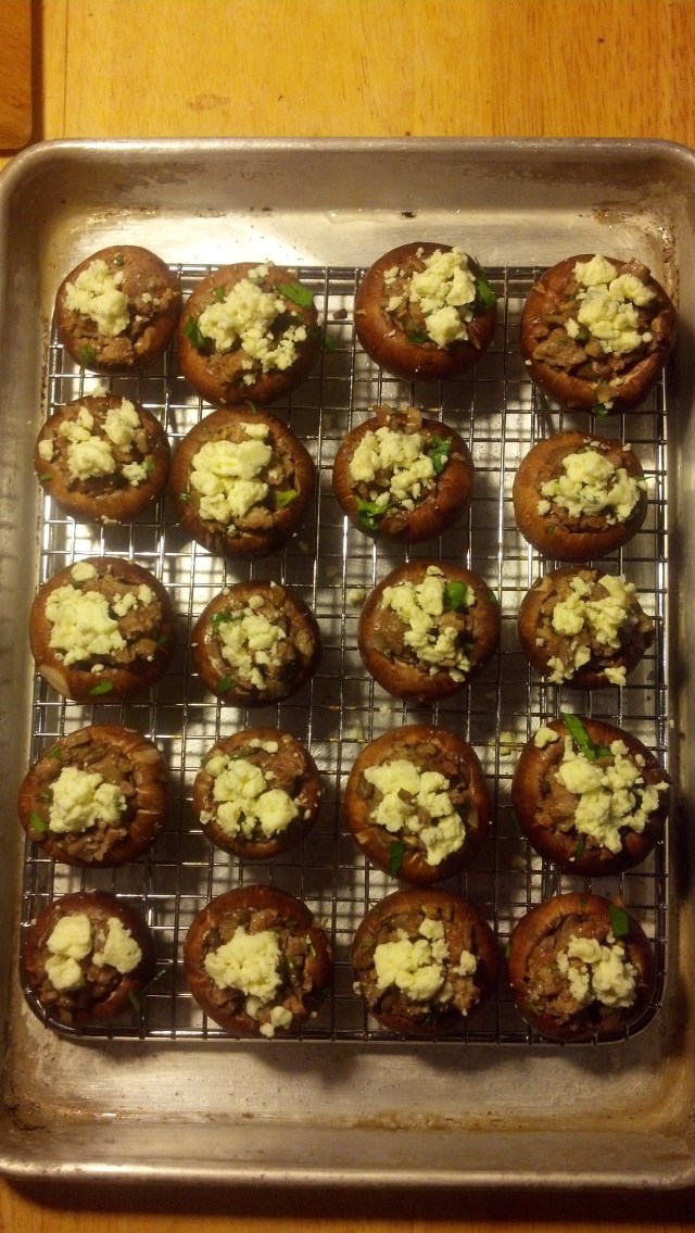 Beef Bourguignonne 009