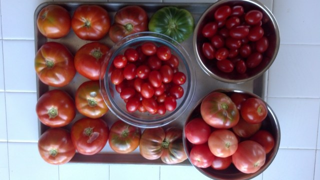 IMG_20130804_154307_518