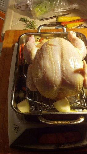 11200600526_827a144276[1]