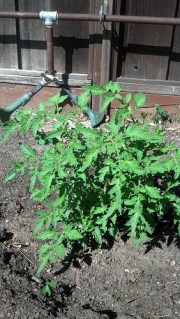 13968873110_a93f1f6683[1]