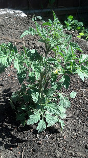 14155510175_351b972495_n[1]